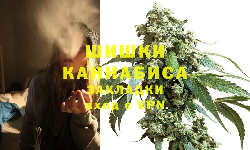 Бошки марихуана OG Kush  Велиж 